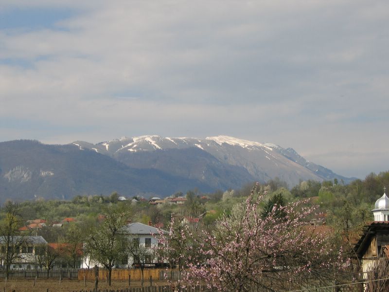 Mountains in the spring