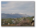 Mountains in the spring