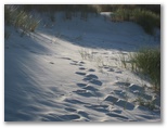 White Sand