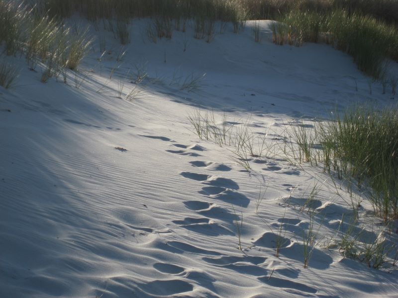 White Sand